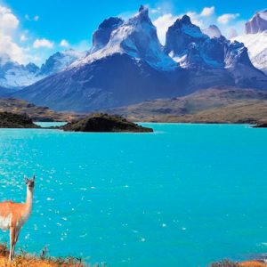 Full day to Torres del Paine park
