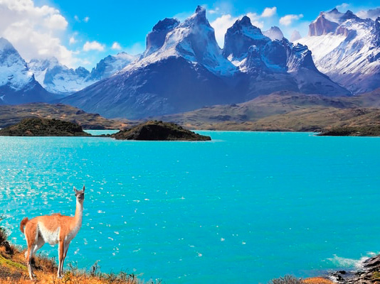 Full day to Torres del Paine park